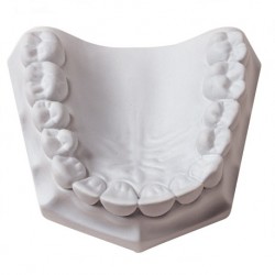 Plaster of Paris, White, Fast Setting, 5 Kg